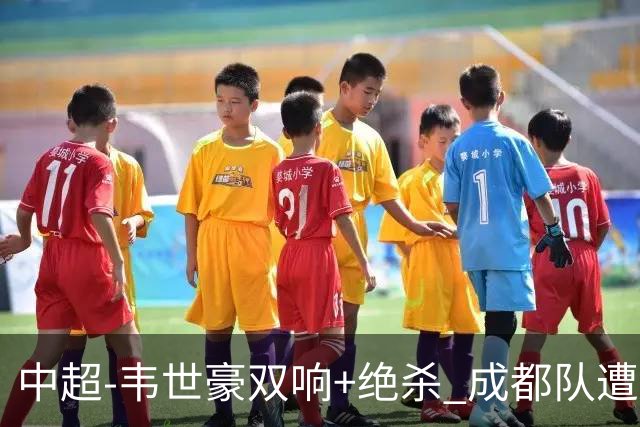 中超-韦世豪双响+绝杀 成都队遭绝平后反绝杀3-2新鹏城