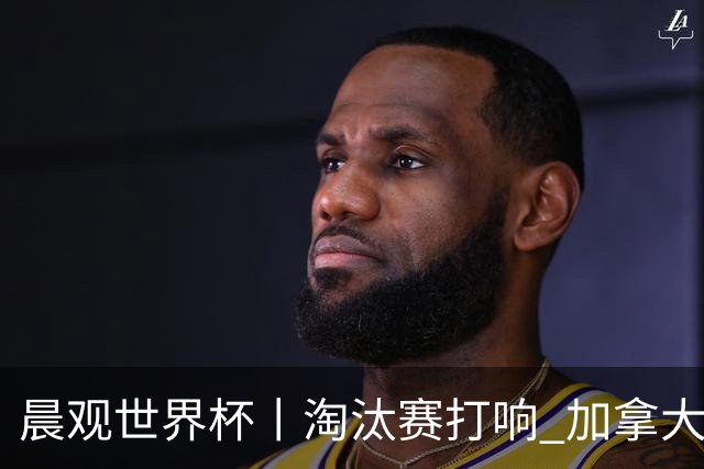 晨观世界杯丨淘汰赛打响 加拿大“绝杀”首进16强