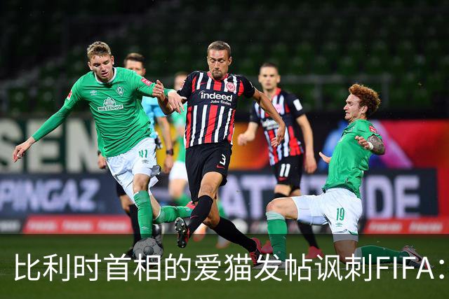 比利时首相的爱猫发帖讽刺FIFA：“红牌？”我照样继续踢！